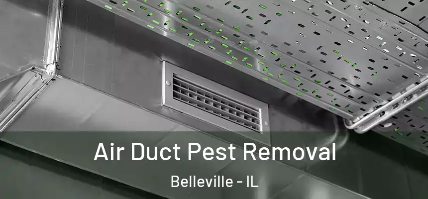 Air Duct Pest Removal Belleville - IL