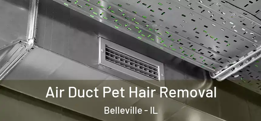  Air Duct Pet Hair Removal Belleville - IL