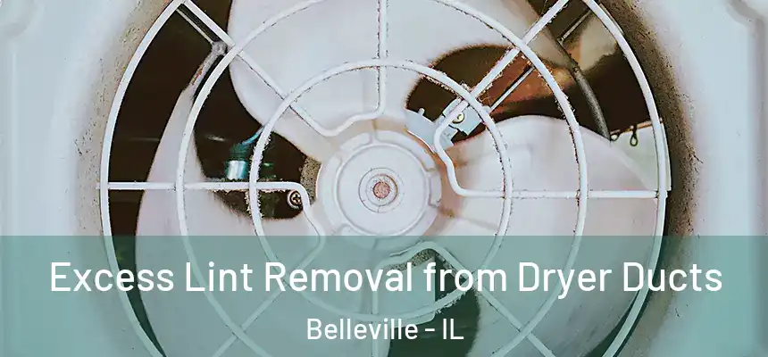 Excess Lint Removal from Dryer Ducts Belleville - IL