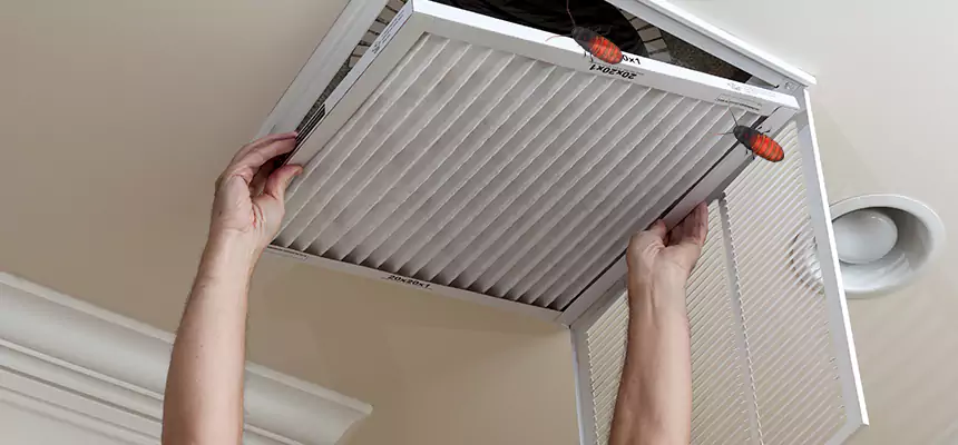 Preventive Cockroach-Proofing for Ducts in Belleville