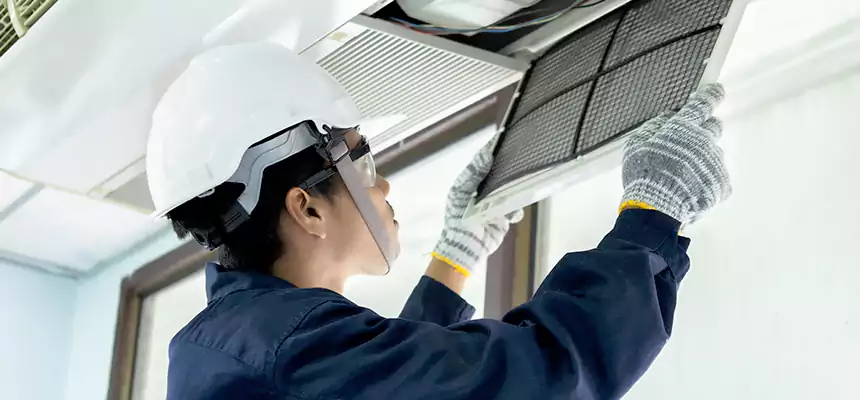 Our Mold & Mildew Removal from Air Ducts Services in Belleville, IL