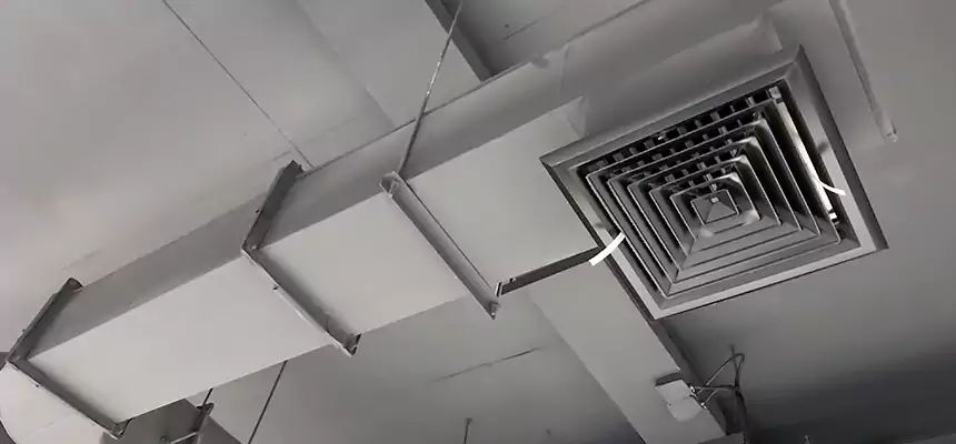 Our Pest Removal From Ducts Services in Belleville, IL