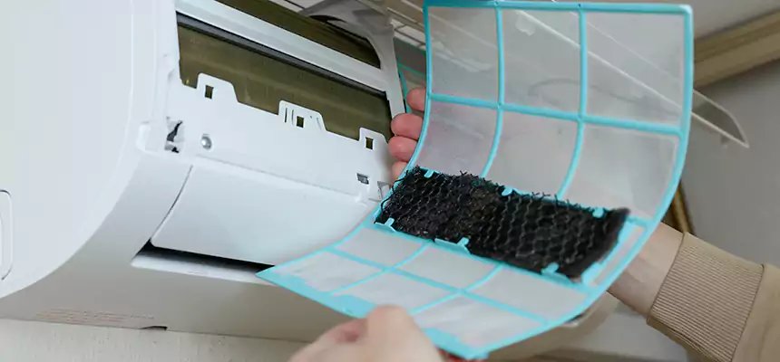 Gentle Ductwork Odor-Control Pet Dander Duct Cleaning in Belleville, IL