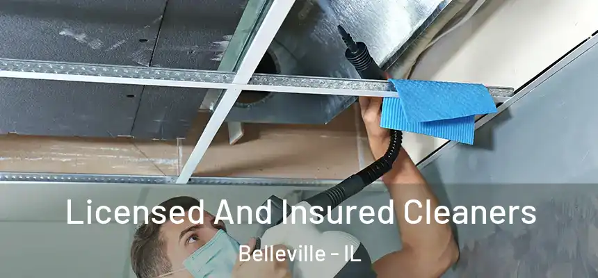 Licensed And Insured Cleaners Belleville - IL