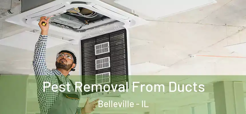Pest Removal From Ducts Belleville - IL