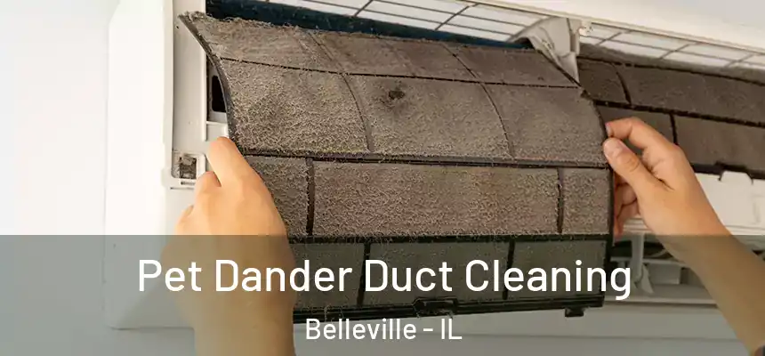  Pet Dander Duct Cleaning Belleville - IL