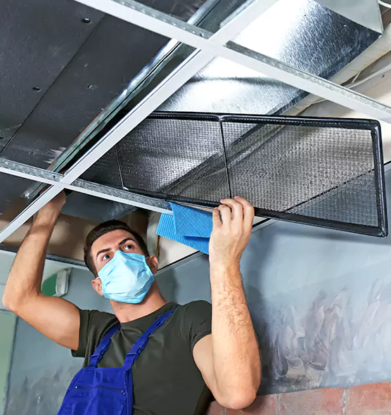 About Air Duct Bacteria Removal in Belleville