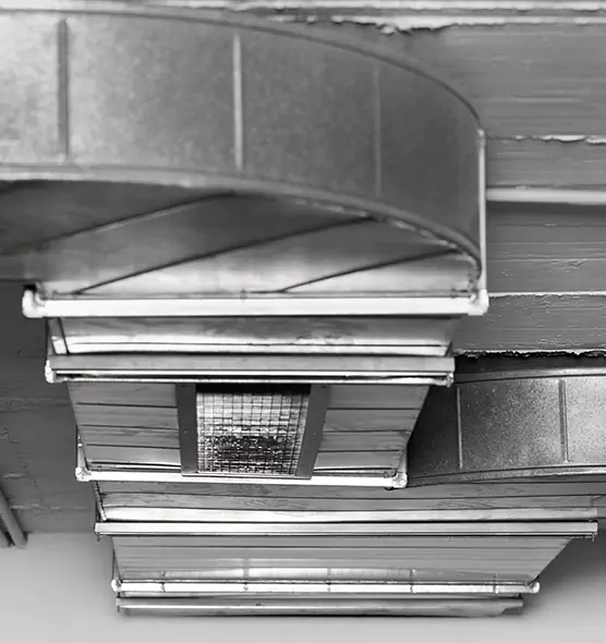 Professional Air Duct Pest Removal in Belleville, IL