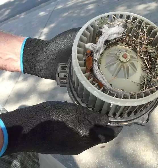 About Air Duct Rat Removal in Belleville, IL