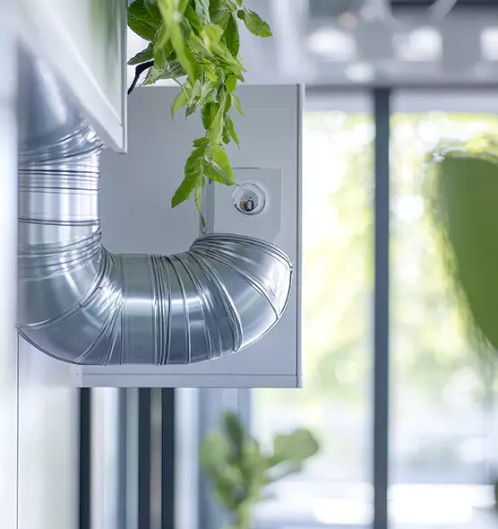 Professional Eco-Safe Dryer Vent Cleaning in Belleville, IL