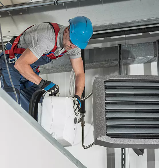About HVAC Mold Remediation Service in Belleville, IL