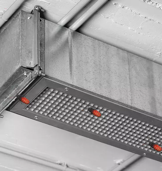 Affordable Insect Removal from Air Ducts in Belleville, IL