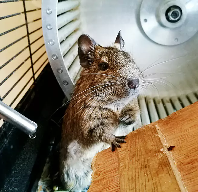 Why Homeowners & Businesses Trust Us Belleville, IL?