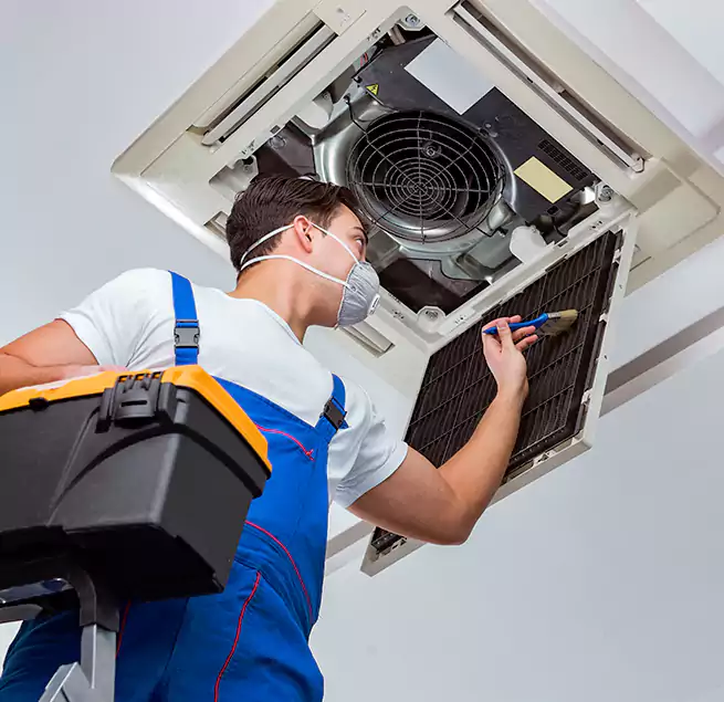 Why Homeowners & Businesses Trust Us in Belleville, IL