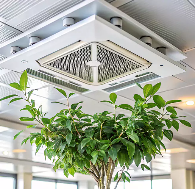 Why Homeowners & Businesses Trust Us in Belleville, IL?