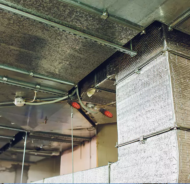 Why Homeowners & Businesses Trust Us Belleville, IL?