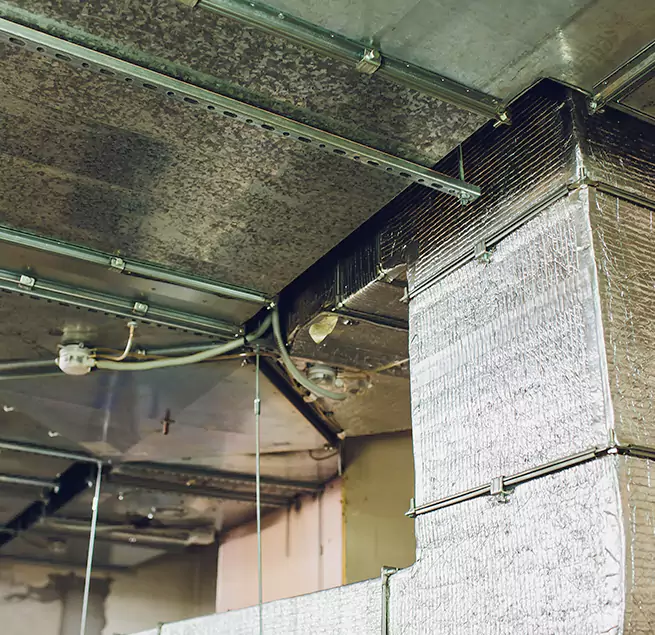 Why Homeowners & Businesses Trust Us in Belleville, IL?